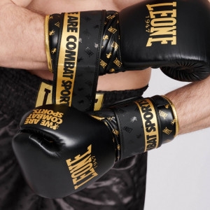 Боксерские перчатки Leone DNA Black 10 ун.