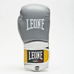 Боксерские перчатки Leone Tecnico Grey р. 16 oz