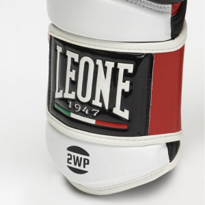 Боксерские перчатки Leone Tecnico р. 10 oz