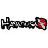 Hayabusa (7)